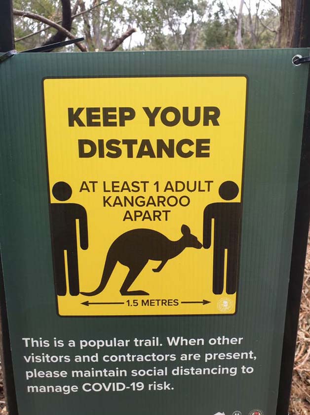 funny-quarantine-signs-kangaroo.jpg